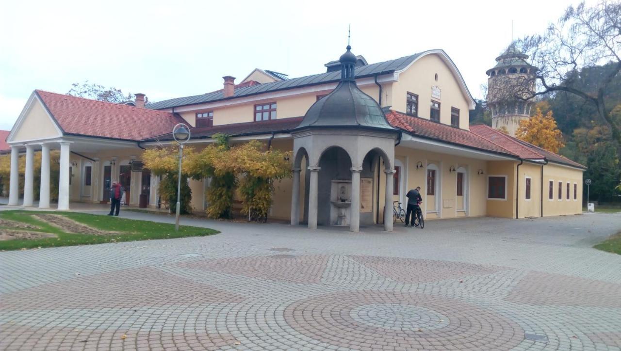 Dobre Ubytovanie 皮耶什佳尼 外观 照片